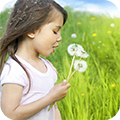 Dandelion Girl icon