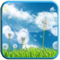 Dandelion LiveWallpaper icon