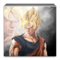 DBZ Dragon Fans Wallpaper icon