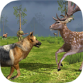 DeerSim icon