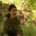 Delila icon