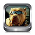 Dog Ringtones icon