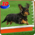 Dog Stunt Show Simulator 3D icon