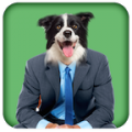 Dog Translator icon