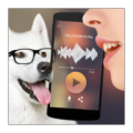 Dog Voice Translator 1.1