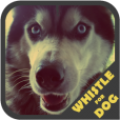 Dog Whistle Trainer icon