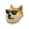 Doge Weahter Widget icon