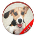 DogSoundsApp 1.2.7