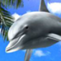 Dolphin Blue Trial icon