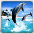 Dolphin HD Live Wallpaper icon