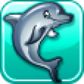 Dolphin Play icon