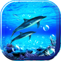 Dolphin Sounds Live Wallpaper icon