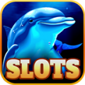 Dolphin Treasures icon