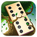 Domino Solitaire icon