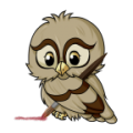 Draw Owls icon