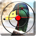Duck Hunting Season icon