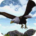 Eagle Simulator 3D 1.0