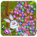 Eggs Shoot icon