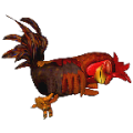 El gallo Pinto icon