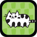 Cat Evolution icon