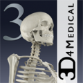 Essential Skeleton 3 1.1.3