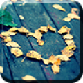 Fallen in Love icon