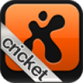 fanatix cricket icon