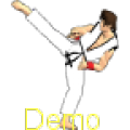 Final Karate Demo icon