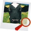 Find It HD icon