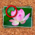 Find Photo D icon