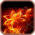 Fire LiveWallpaper 1.2