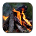 Fire LWP icon