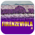 Firenze Viola icon