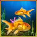 Fish Aquarium Livewallpaper icon