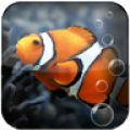 Fish Aquarium LWP 18.2