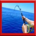 Fish Fishing ! icon