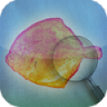 Fishbook icon