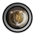 Fisheye Camera Lenses icon