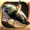 Fishing Hunter3D 1.0