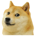 Flappy Doge icon