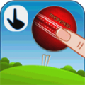 Flick Cricket 3D icon