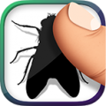 Flies icon