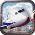Flight Simulator icon