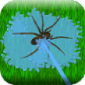 Flood Insect Defender! icon