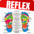 Foot Reflexology 1.25