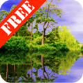 Forest Pond Free icon