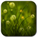 Free Colorful Summer Meadow icon