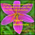 FrenchBirthdayCards icon