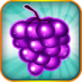Fruit Blitz Free icon