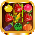 Fruit Heroes icon